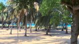 Pasikuda - 9 Acres Beach Land with 3 Villas & Infrastructure for Sale