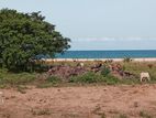 Pasikuda - Beach Front Land for sale