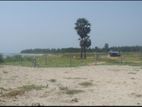 Pasikuda - Beach Front Land for sale