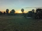 Land for Sale Batticaloa