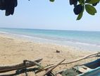 Passikuda, 81 Mtrs Beach Front Bare Land For Rent (NZM1117)
