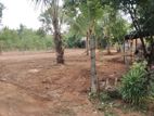 Pasyala Kalalpitiya Land for Sale