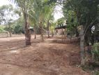 Pasyala Land For Sale