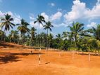 Pasyala Valuable Land for Sale P3