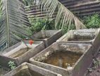 Cement Fish Tank