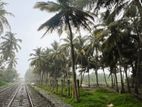 Payagala Down South Beach Facing 105 Perches Land For Sale