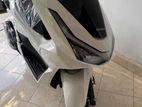 Honda PCX160 2026