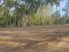පදිංචියට බිම් කොටස්