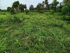 Land for Sale in Anuradhapura