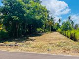 හලාවත කුරුණෑගල ප්‍රධාන පාරට 150m පමණ නුදුරින් පිහිටි ඉඩමක් විකිණීමට ඇත