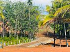 පදිංචියට ඉඩමක් අලුත්ගමින්