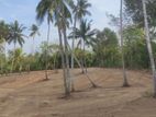 පදිංචියට තංගල්ලෙන් බිම් කොටස්