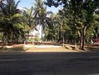 පදිංචියට ටික ගෙවන්න අගනා ඉඩමක්