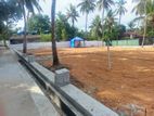 Peaceful Area Highly Residential land for sale in Galawilawatte Homagama