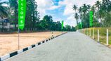 Peaceful Land Blocks for Sale in Galpatha
