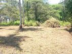 Land for Sale in Ballapana, Minuwangoda