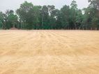 Peaceful Land for Sale Near Meerigama Road, Divulapitiya - Z472