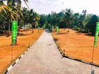Peaceful Land Plots for Sale in Galpatha