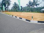 Peaceful Land Plots For Sale In Minuwangoda