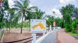 Peaceful Paddy Field Setting Land for Sale in Minuwangoda