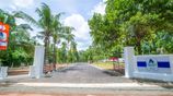 Peaceful Paddy Field Setting Land for Sale in Minuwangoda