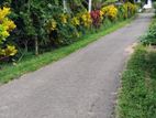 Peaceful Residential Land for Sale in Madapatha, Piliyandala