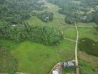 Peacefull Land for Sale in Imaduwa