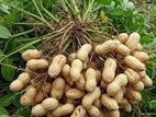 peanuts