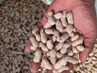 Dried Peanuts