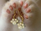 Pearled Paws for Cats