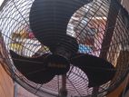 Pedestal Fan