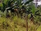 Land for Sale - Duluwa