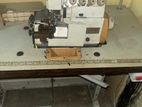 Pegasas - 5 Thread Overlock Sweeing Machine
