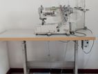 Pegasus Flatlock Sewing Machine