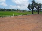 Pelawatha paddy field view 7.50 perch land for sale.