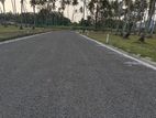 Pellandeniya junction Valuable Land