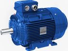 PEM Industrial Electric Motor