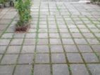 PEPILIYANA : 9 PERCHES PRIME LAND FOR SALE