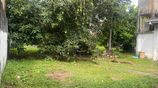 Pepiliyana Dehiwala Prime 35.7 Perches Square Land with House