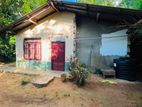 Pepper Land with House at Nikapotha