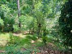 Land for Sale - Badulla