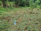 Land for Sale Matale