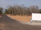 Perengiyawala valuable land