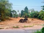 Perfect Land for Sale – Ragama (Warehouse, Factory, Hardware)