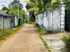 Perfect Land for Your Dream Home Near Paddy Fields in Kirillawala