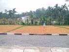 Perfect Land Plots for Sale in Minuwangoda