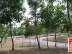 Perfect Plot, Future RAGAMA