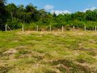 පෙරිමියන්කුලම අශෝක විදුහල ආසන්නයෙන් ඉඩමක්