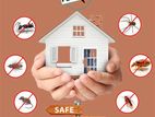 Pest and Termite Control Treatments