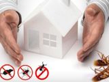 Pest and Termite Control Treatments
